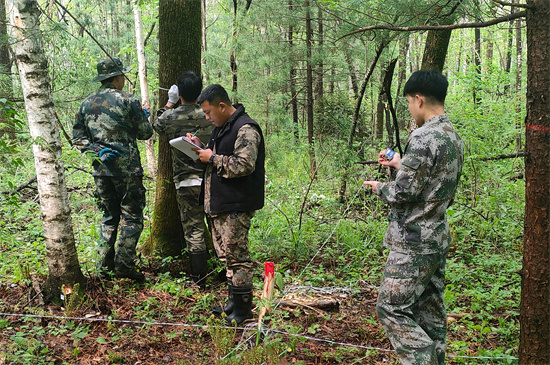 攻堅(jiān)克難踐初心 數(shù)據(jù)賦能護(hù)林海 泉林公司圓滿完成森林可持續(xù)經(jīng)營(yíng)試點(diǎn)成效監(jiān)測(cè)調(diào)查復(fù)測(cè)任務(wù)（2）.jpg