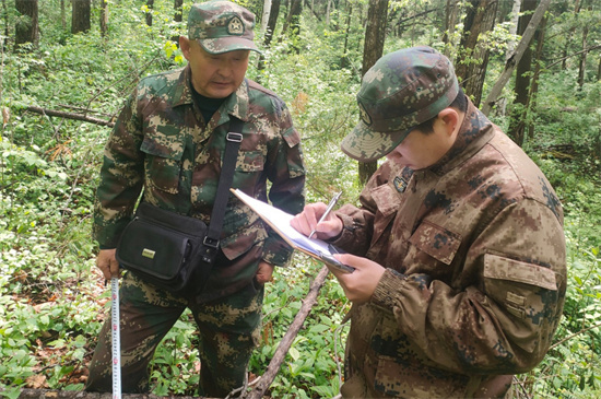 攻堅(jiān)克難踐初心 數(shù)據(jù)賦能護(hù)林海 泉林公司圓滿完成森林可持續(xù)經(jīng)營(yíng)試點(diǎn)成效監(jiān)測(cè)調(diào)查復(fù)測(cè)任務(wù)（3）.jpg