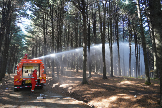興參林場(chǎng)開(kāi)展實(shí)戰(zhàn)化森林滅火演練（3）.jpg