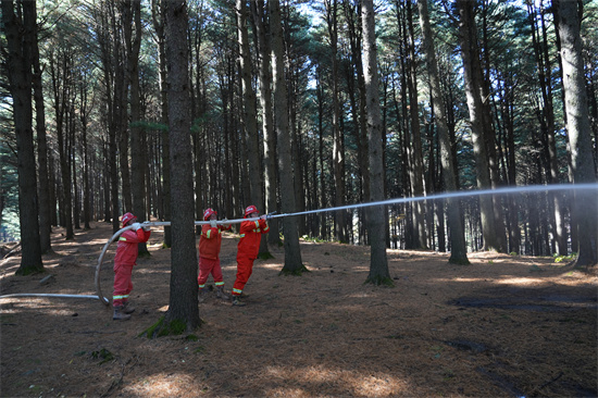 興參林場(chǎng)開(kāi)展實(shí)戰(zhàn)化森林滅火演練（2）.jpg